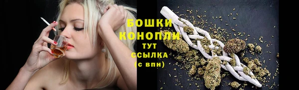 спайс Гусиноозёрск