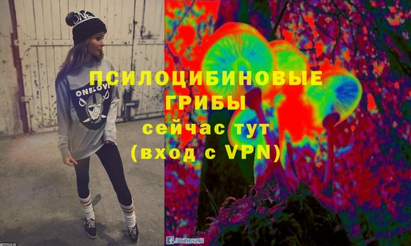 соль ск Дмитриев