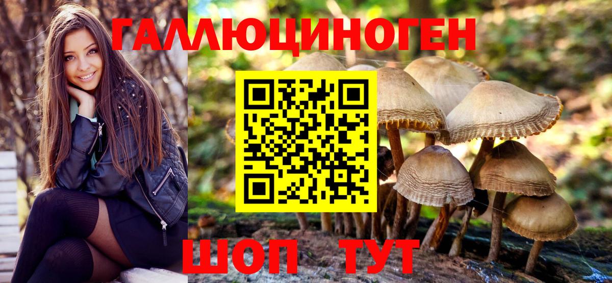 Псилоцибиновые грибы прущие грибы Спасск-Дальний
