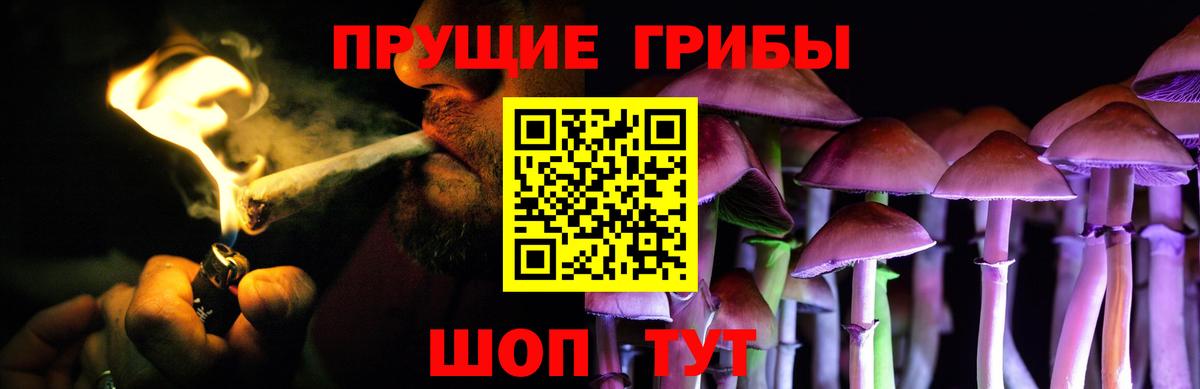 Спасск-Дальний  Галлюциногенные грибы Cubensis  Вход с VPN 